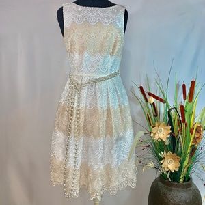 White House Black Market Striped Lace Fit & Flare